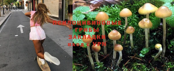 гидропоника Магас