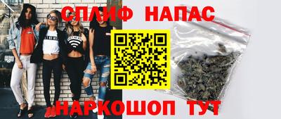 скорость Гатчина