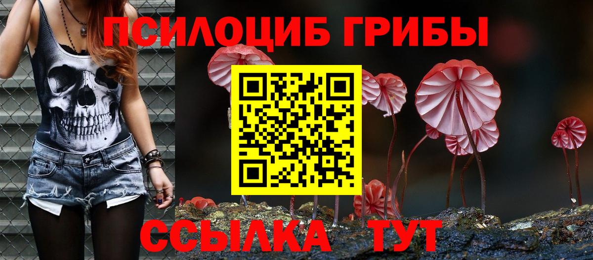 Псилоцибиновые грибы GOLDEN TEACHER  Вход с VPN  Мирный  Галлюциногенные грибы мухоморы 