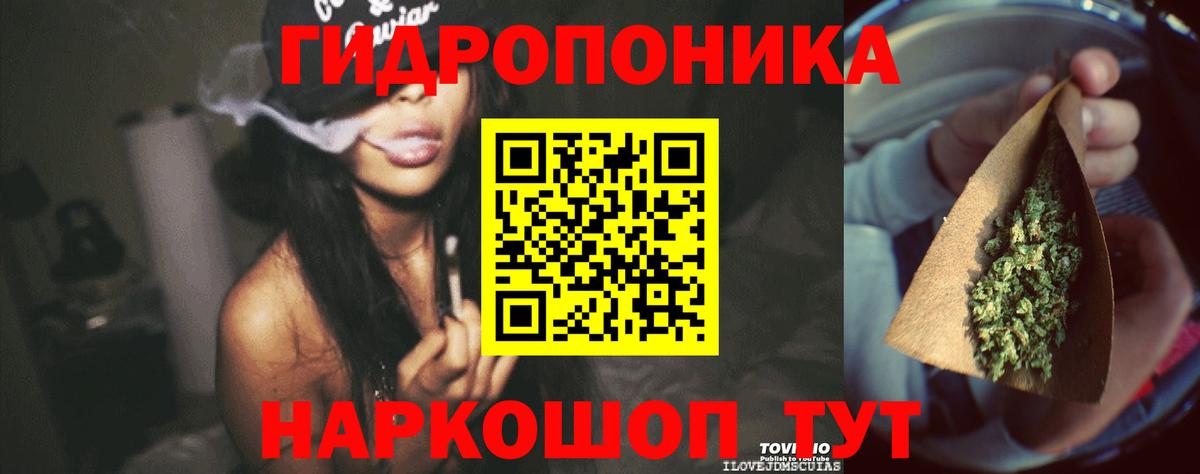 МАРИХУАНА SATIVA & INDICA  Вход с VPN  Конопля конопля  Мирный 